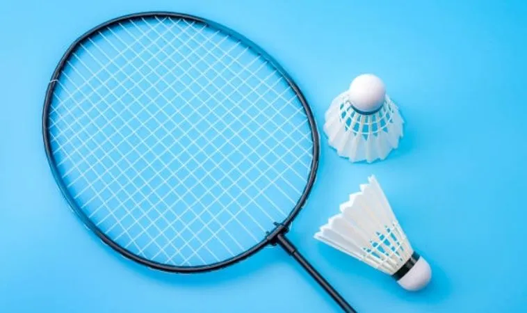 Bí Kíp Cá Cược Cầu Lông Goal123 Thắng Lớn Với Tỷ Lệ Kèo Đỉnh Cao 1 Cầu Lông Goal123