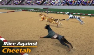 Đua Chó tại Goal123