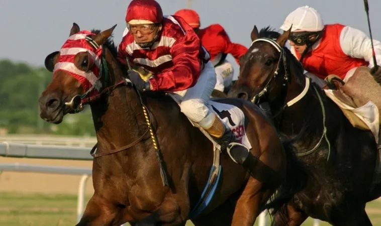 Thỏa Sức Cá Cược Đua Ngựa Goal123 Đỉnh Cao Giải Trí Thể Thao Kịch Tính Nhất 2 Cần tìm hiểu về bộ môn đua ngựa Goal123 trước khi cá cược